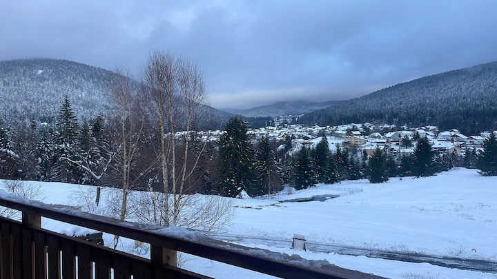 Nid Des Fauvettes -Vue Montagne à Gérardmer - Gérardmer