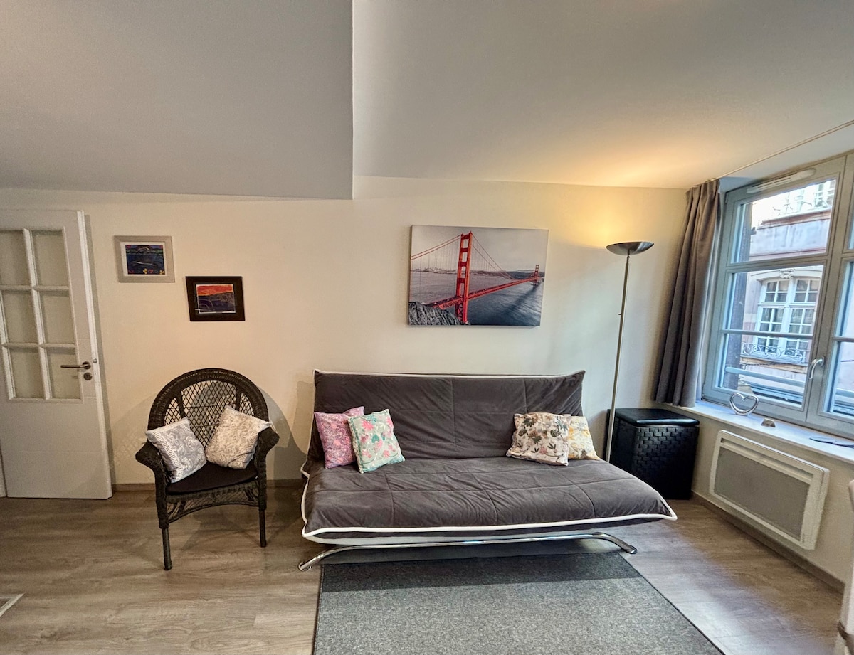 Propriété Airbnb réussie: Heart of Historic Strasbourg à Centre