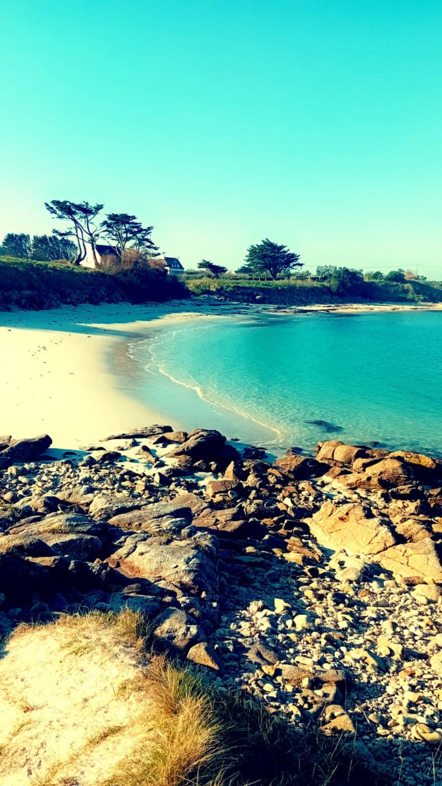 A serene beach scene is depicted, featuring soft white sand bordered by smooth stones and rocky outcrops. Gentle waves lap at the shore under a clear blue sky, with trees and greenery visible in the background, providing a natural setting.