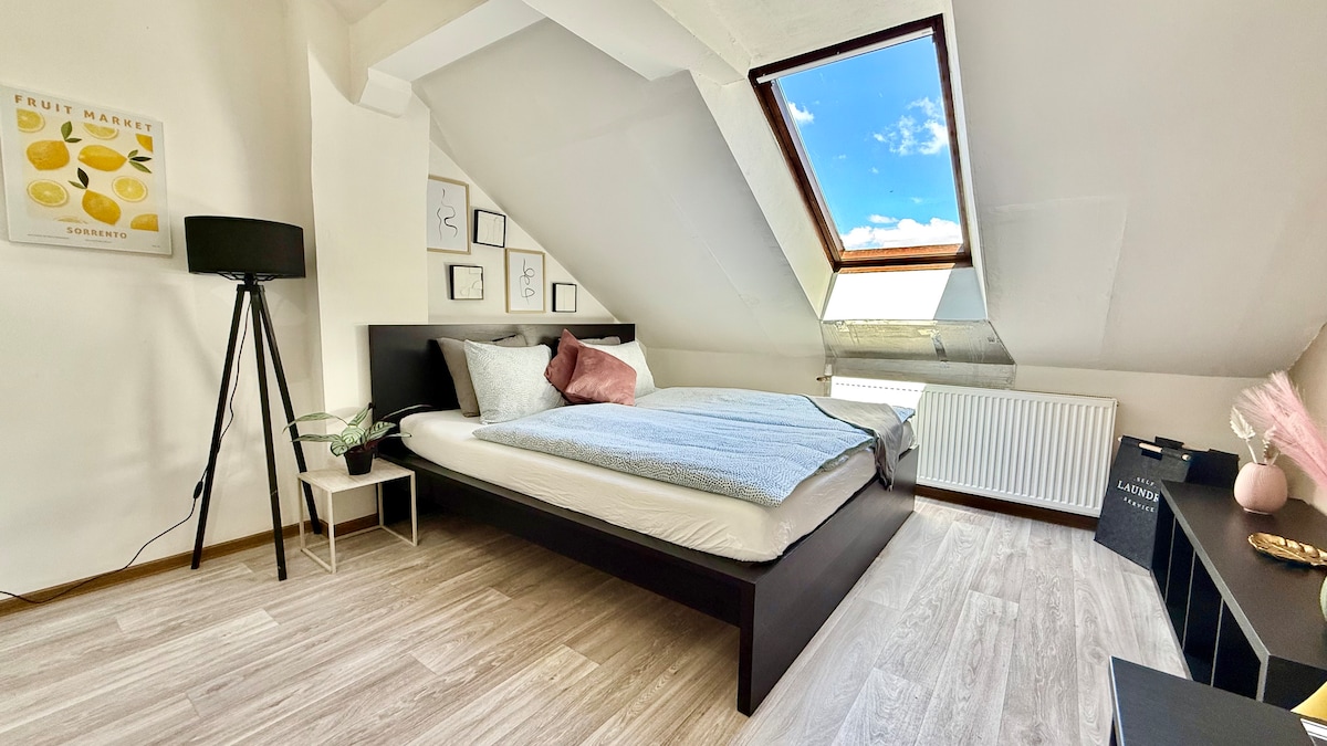 A cozy bedroom features a large bed with soft bedding and two pillows. A slanted ceiling is highlighted by a skylight that allows natural light to illuminate the space. A bedside table holds a decorative lamp, and framed artwork adorns the walls.