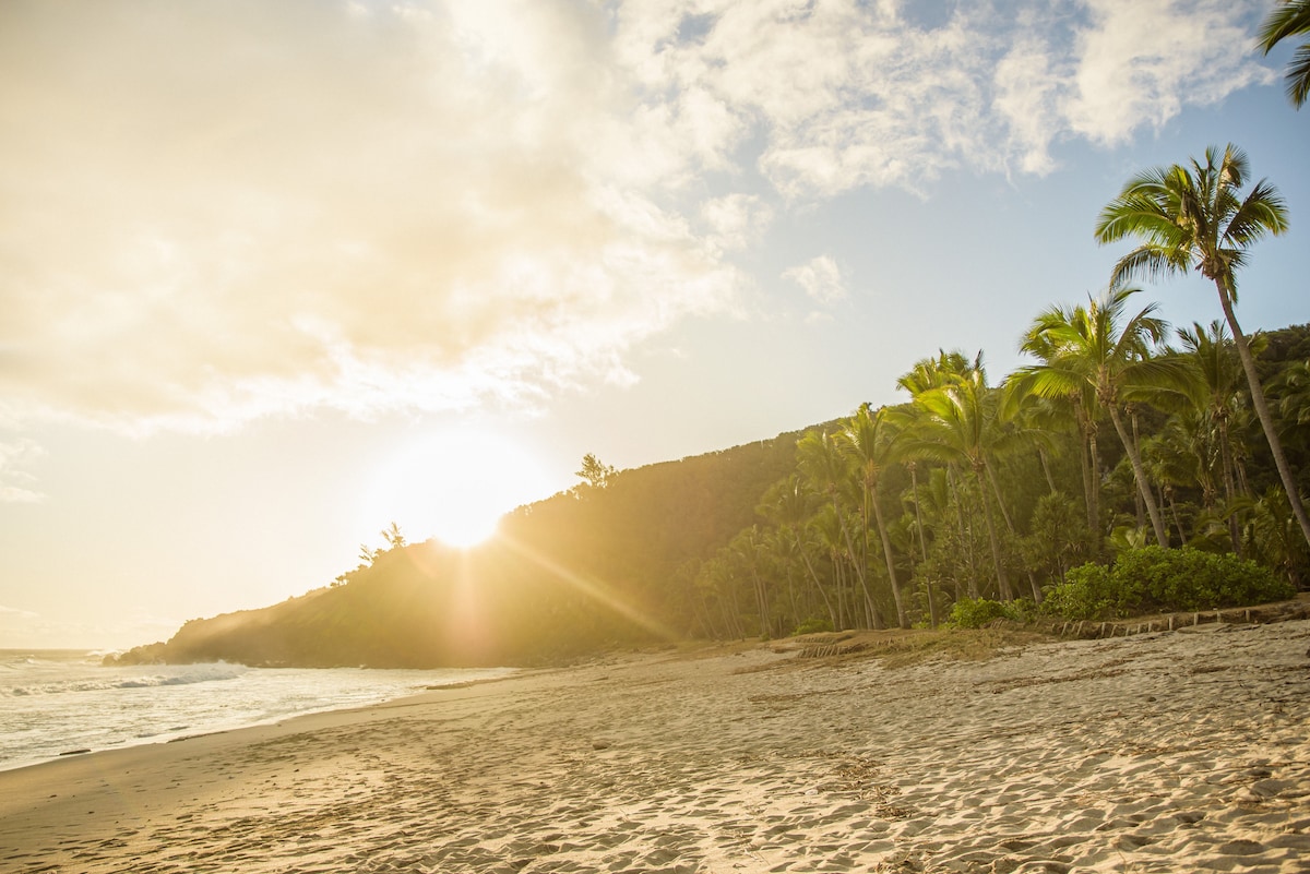 A serene beach scene captures golden sunlight filtering through palm trees along the coastline, with gently rolling waves lapping at the sandy shore. The lush greenery of the hill complements the peaceful atmosphere, inviting relaxation and appreciation of the natural surroundings.