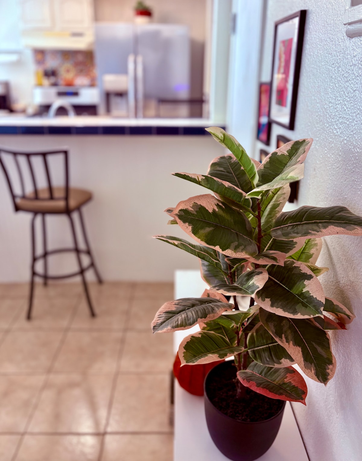 [Sep deals!] Cozy East Austin Oasis, no pet fee