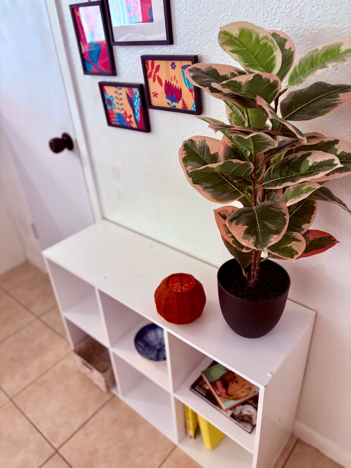 [Sep deals!] Cozy East Austin Oasis, no pet fee