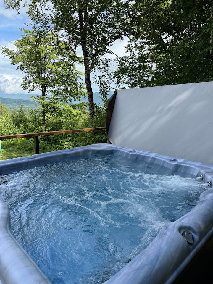 Mountaintop Cabin with Incredible View - Cabins for Rent in