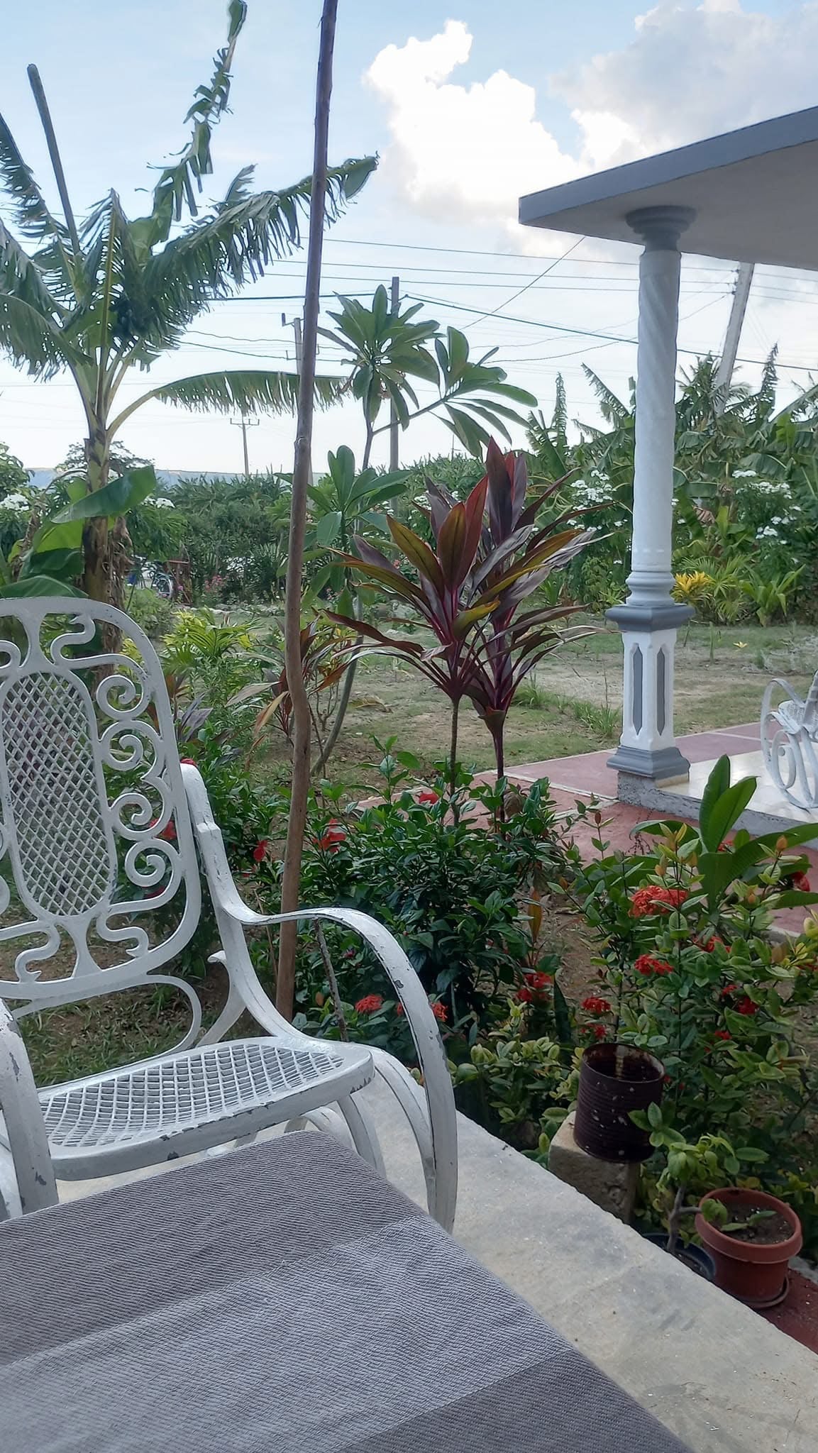 A white metal chair is positioned on a patio, offering a view of lush greenery, vibrant tropical plants, and colorful flowers. The peaceful setting invites relaxation, with a glimpse of the surrounding landscape beyond the decorative railings of the porch.