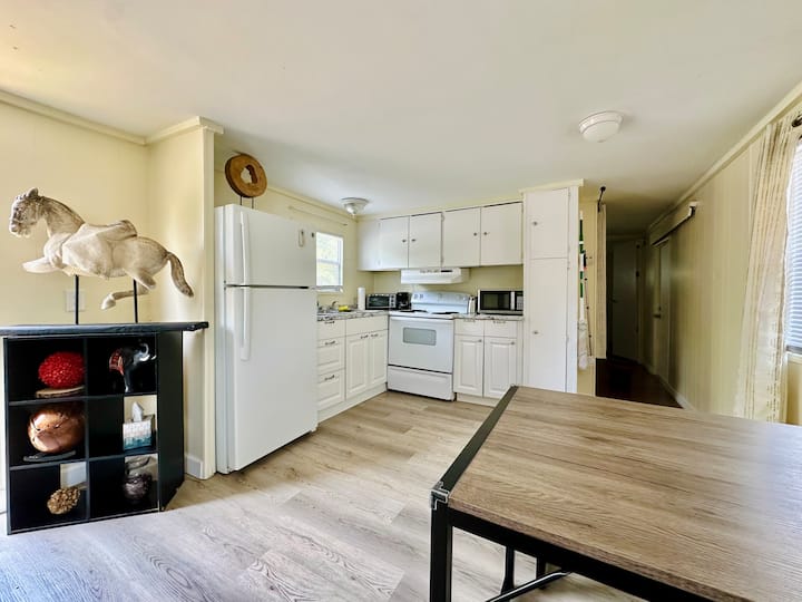 Cozy Dragonfly Home 2 Bed • 1.5 Bath - 탬파