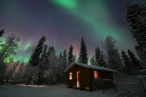 Top performing Airbnb: Nordic Tiny Home Cabin w/ Firepit & Aurora Views in Fairbanks