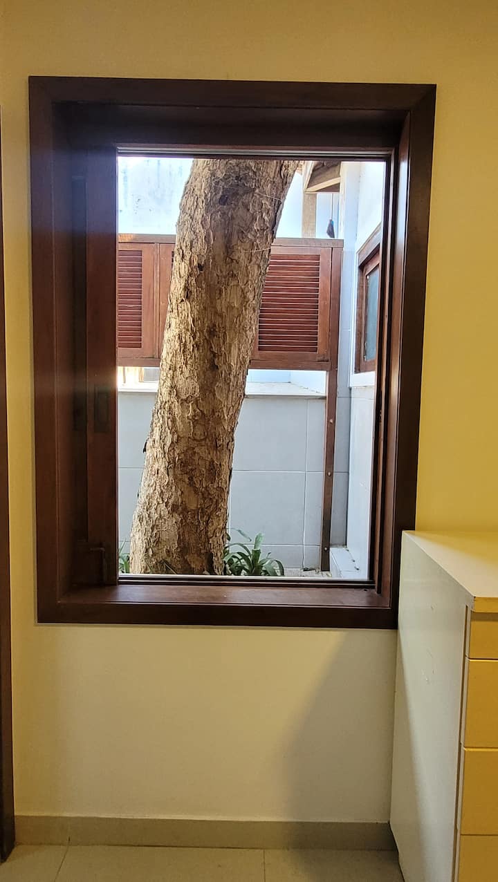 Quarto 1