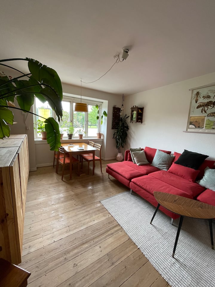 Great Apartment In Vibrant And Cosy Area In Cph - Kopenhagen