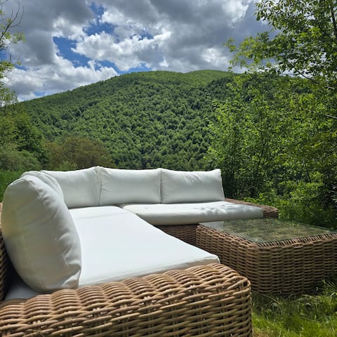 The panoramic Nest - Elegance and nature.
