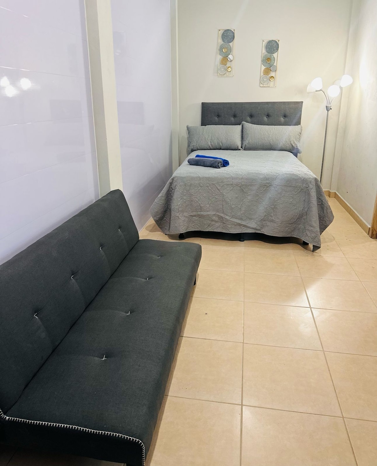 A cozy sleeping area is presented with a spacious bed dressed in grey bedding and accented by two decorative wall pieces. A comfortable grey sofa is positioned nearby. Soft lighting emanates from a standing lamp, enhancing the overall illumination of the room.