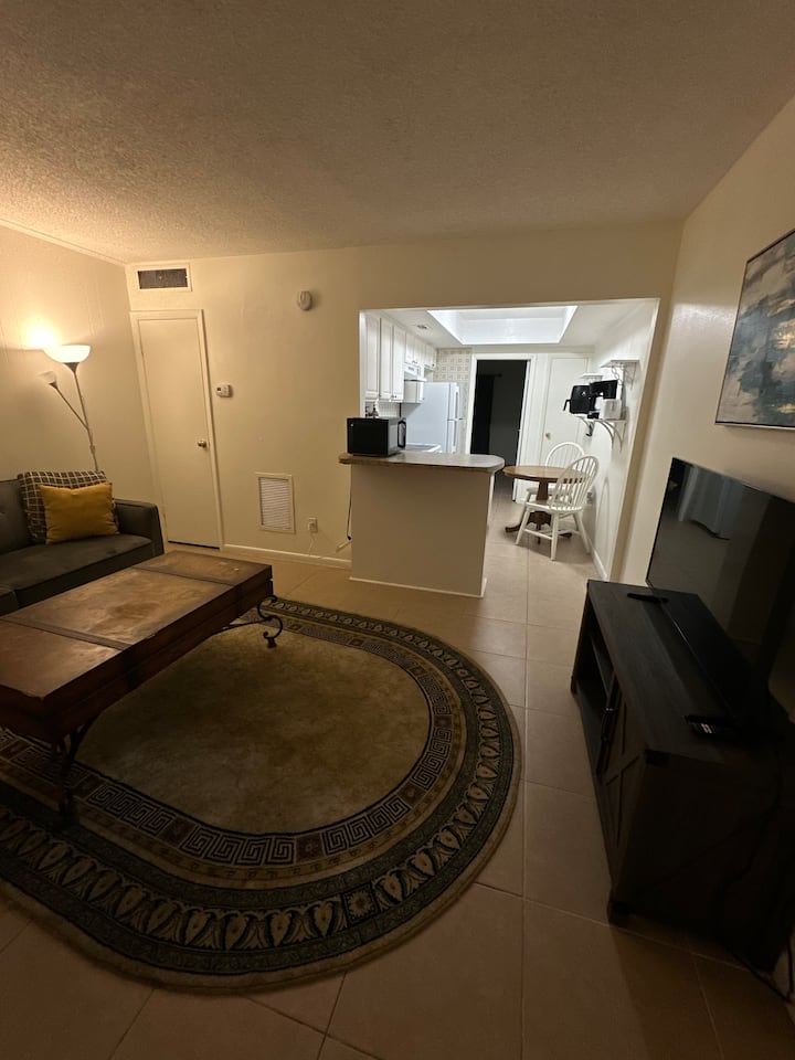 One Bedroom Apartment - Tampa, FL