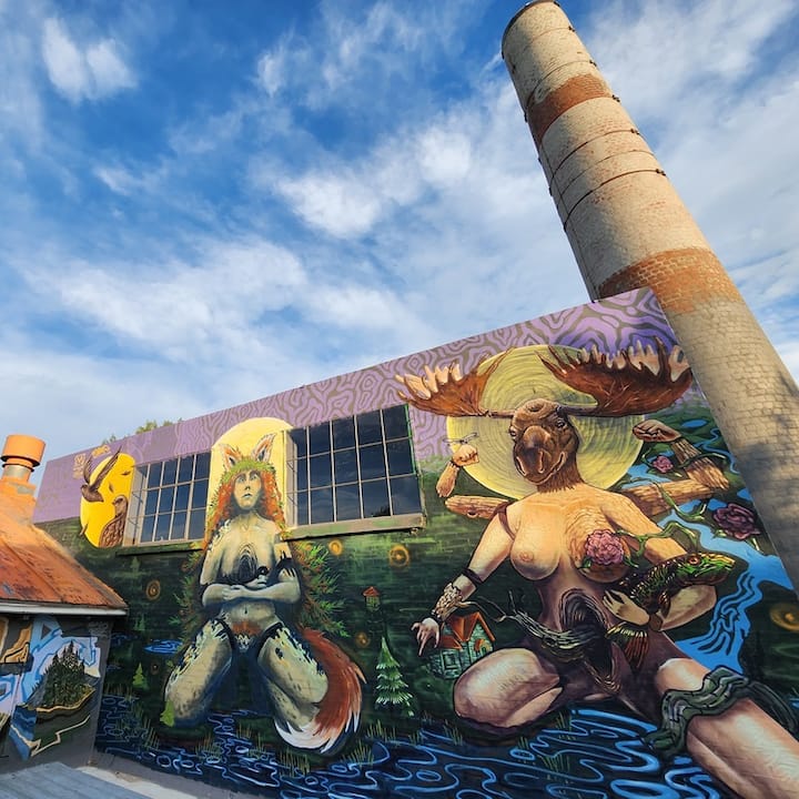 La Gitane - Sanatorium Et Murales En Forêt - La Tuque