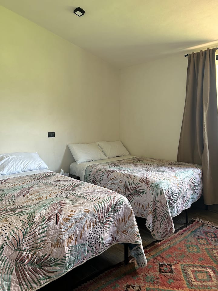 Habitación 1