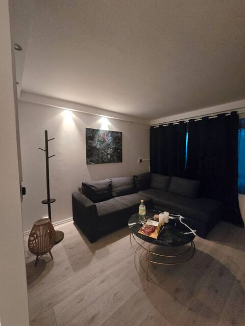Successful Airbnb property: Cozy Apartment w/ Parking – 10 min to City Centre in Alna