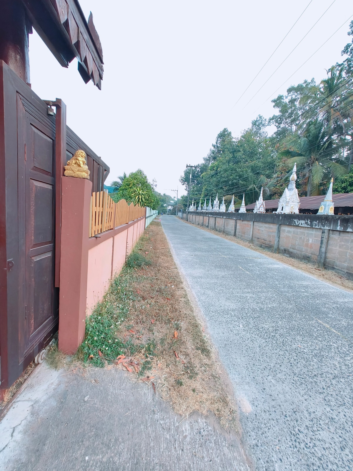 A tranquil pathway lined by trees and greenery is visible, leading towards a peaceful rural setting. The road is bordered by a wall adorned with decorative elements, while the surrounding environment features white structures partially obscured by foliage.