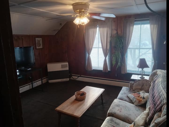 The Tree House - Indian Lake, NY