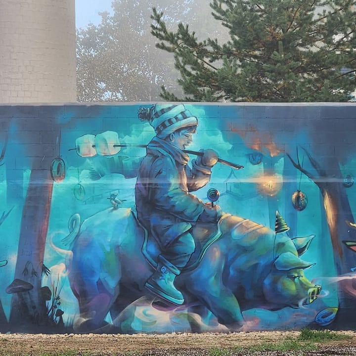 La Bulle Boréale - Sanatorium Et Murales En Forêt - La Tuque
