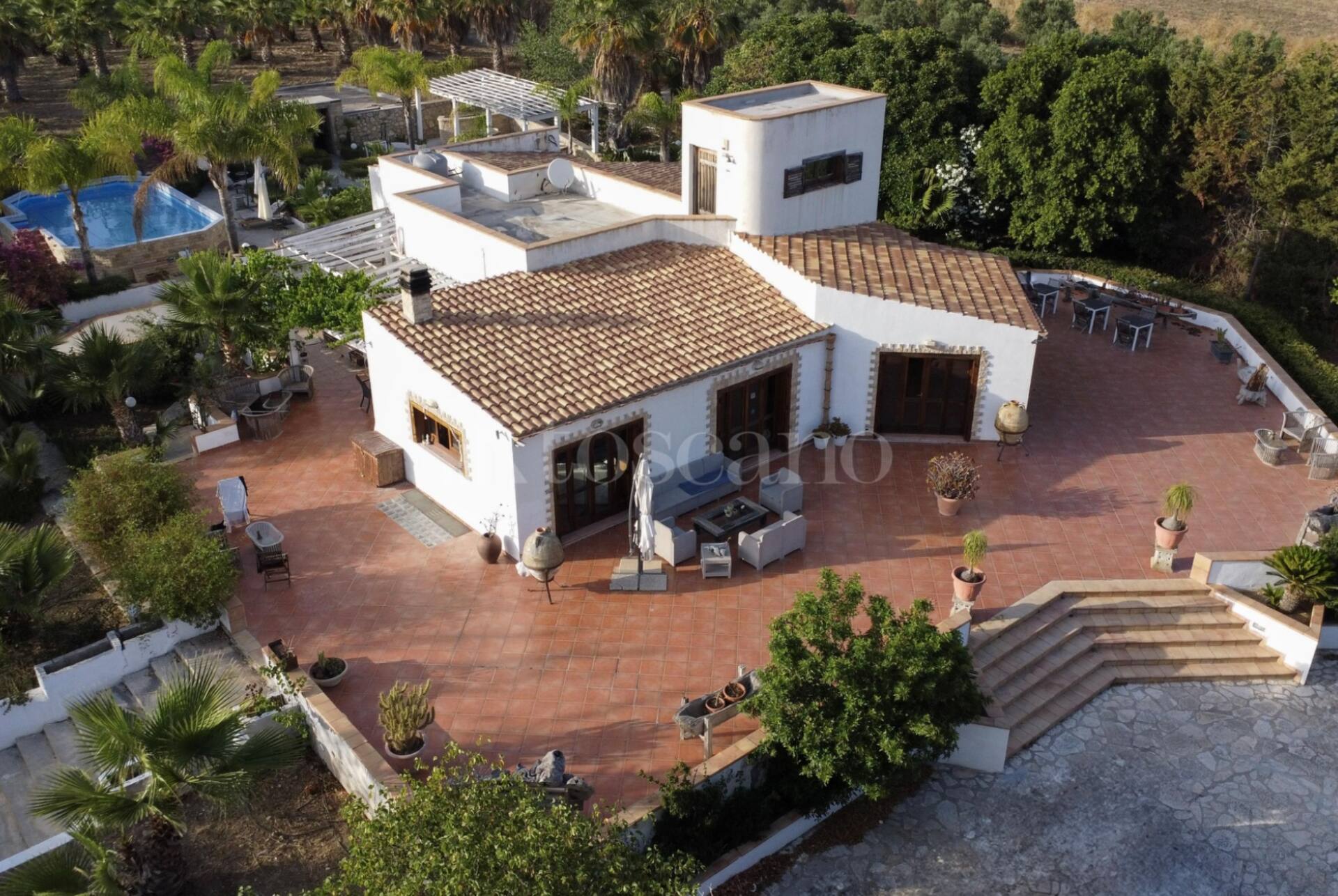 Villa Delle Palme Delfina — photo 2