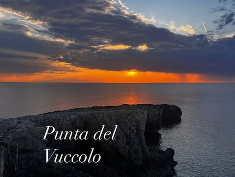 Elio's house: 3 Bouganville studio apartment