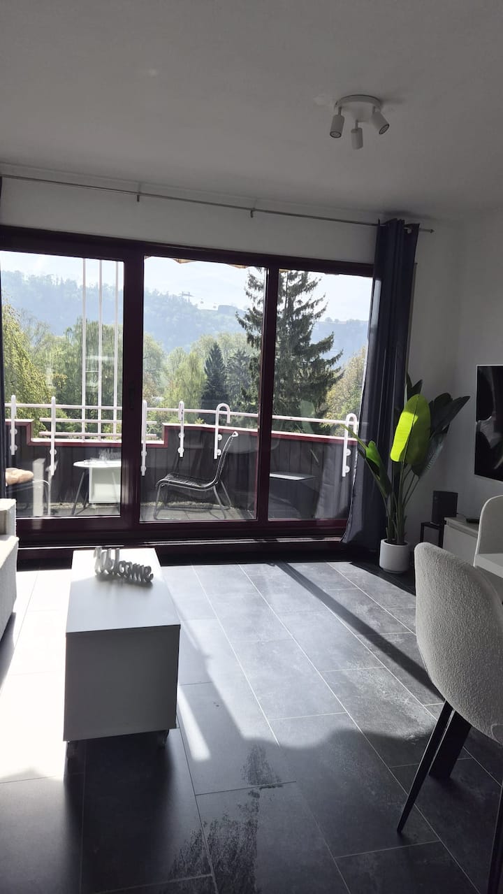 Apt. With Panoramic/rhine View In A Green Area - Koblenz