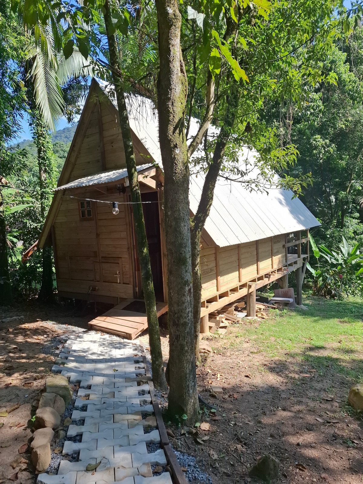 A rustic wooden cabin is nestled among trees, showcasing a sloped roof and a spacious deck. A clear pathway made of stone tiles leads to the entrance, surrounded by lush greenery and natural landscaping.