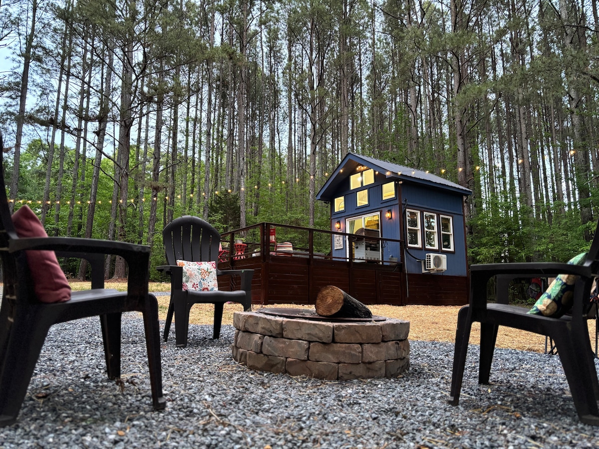 A fire pit surrounded by four chairs creates a cozy gathering space. The tiny cabin, painted in blue, stands in the background with large windows, allowing light to fill the interior. Towering pine trees surround the area, enhancing the tranquil forest setting.