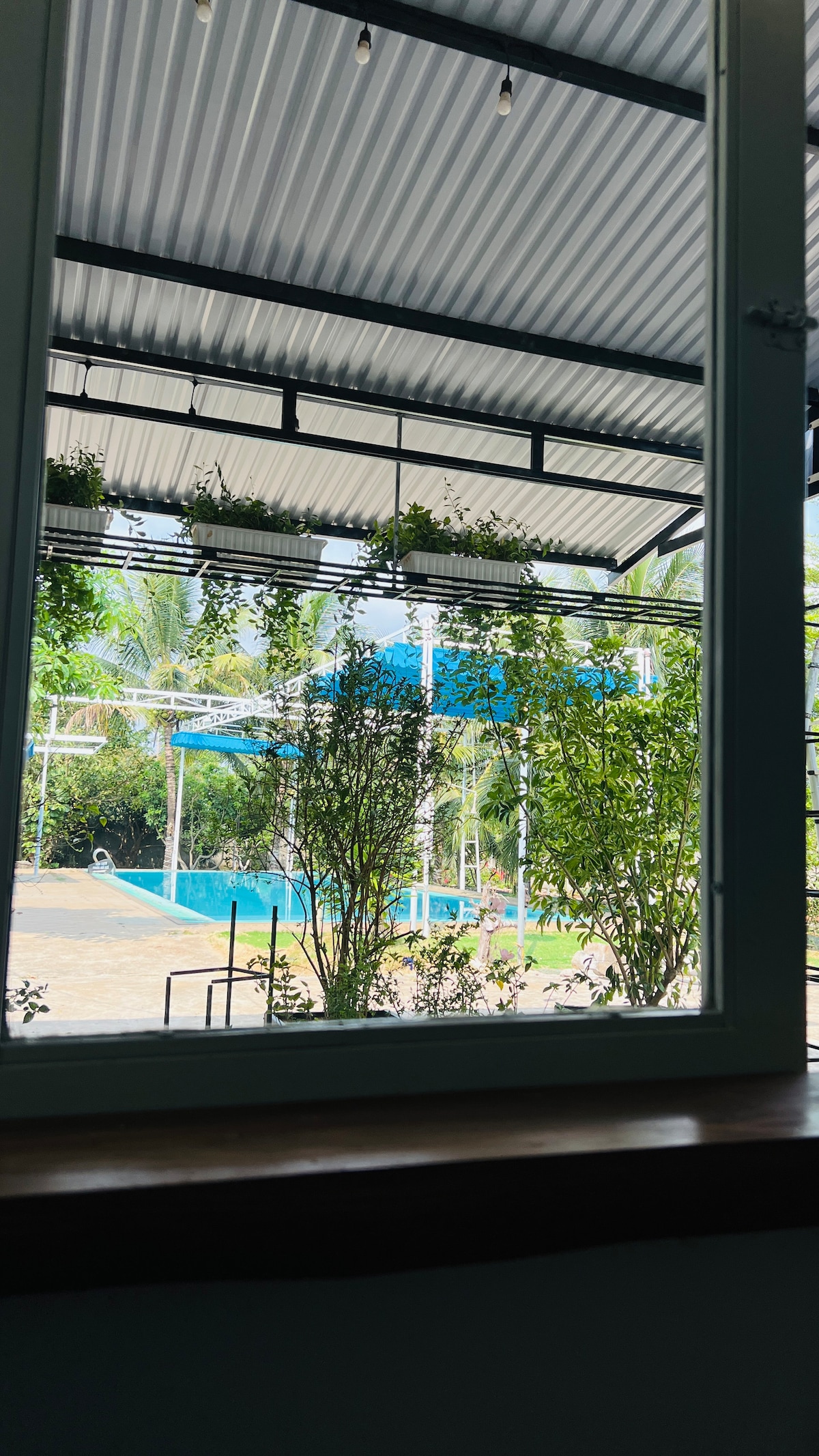 A view from the window showcases a serene outdoor space with a swimming pool, surrounded by lush greenery and plants. The area is sheltered by a corrugated roof, allowing for natural light to filter in while ensuring a peaceful atmosphere.