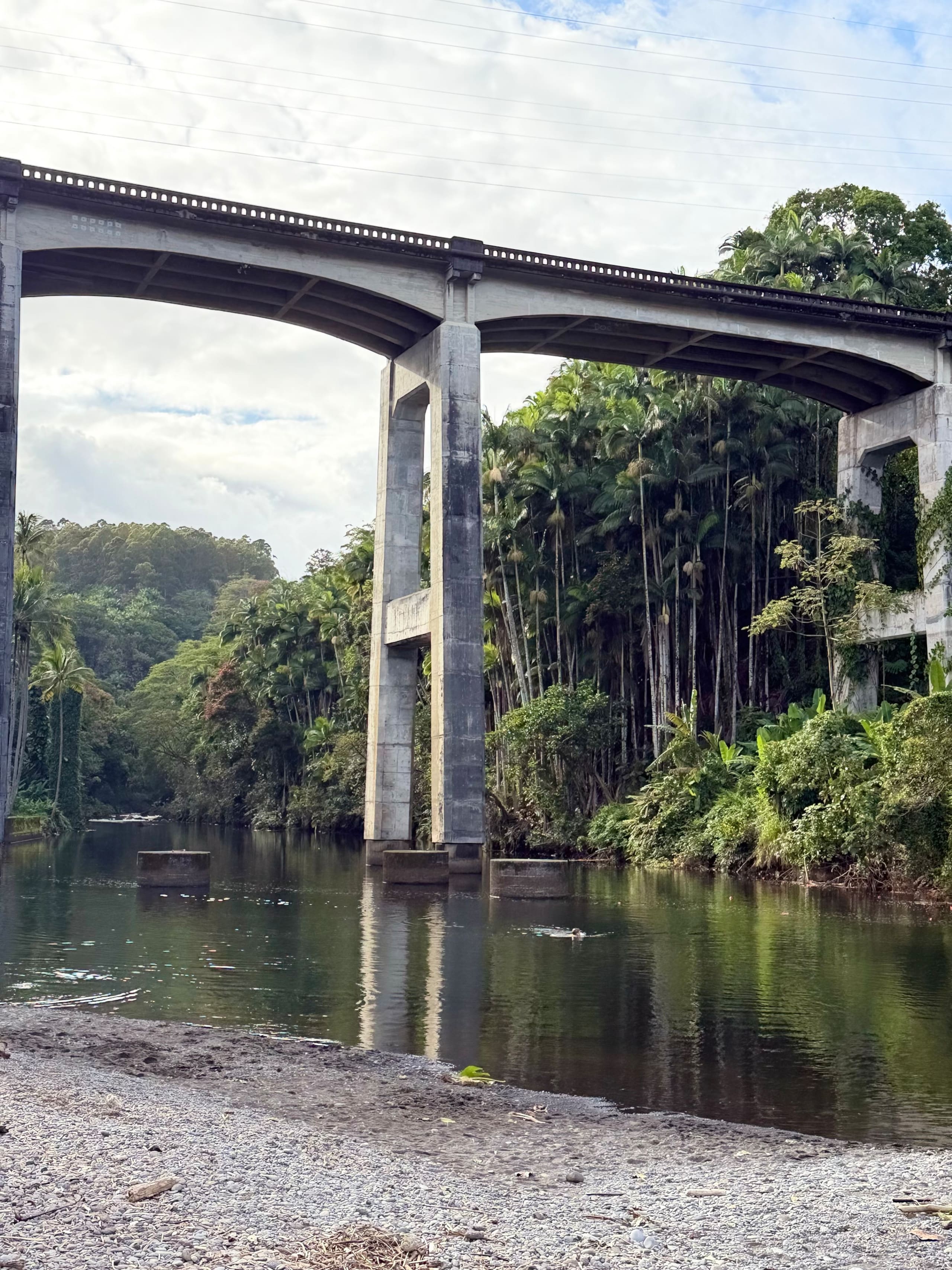 Home in Hilo · ★4.86 · 1 bedroom · 1 bed · 1 private bath - Image 33
