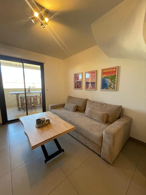 Successful Airbnb property: Modern apartment on Propriano Harbor in Propriano
