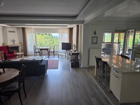 Top Airbnb: Detached villa in Sapanca Document No: 54-391 in Sakarya