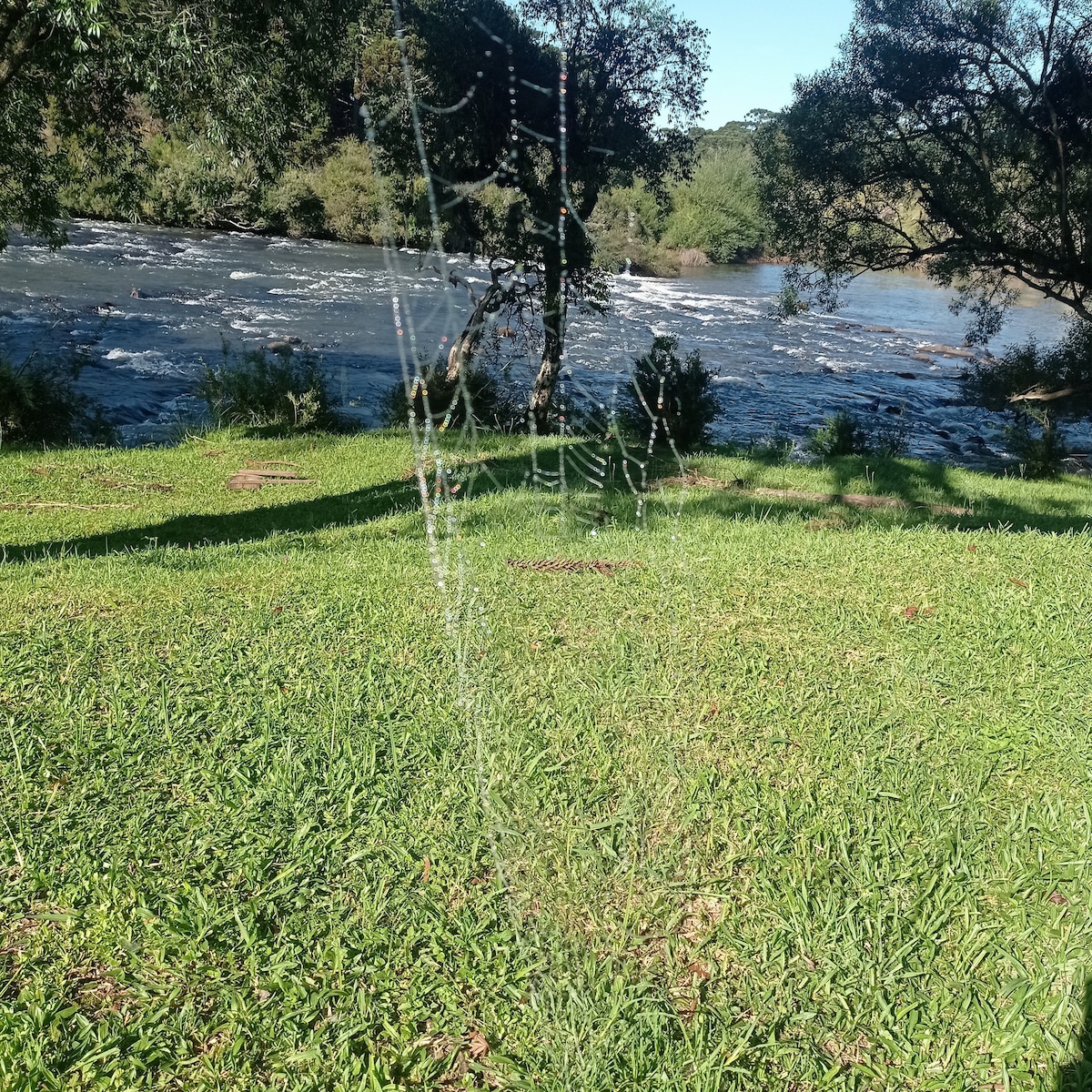 A spider web is delicately spun in the foreground, glinting in the sunlight. In the background, a river flows gently, surrounded by greenery. The scene captures the tranquility of the natural landscape, with soft grass beneath and trees lining the riverbank.
