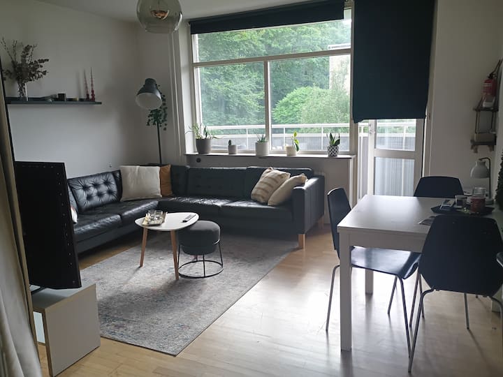 მისაღები სივრცე