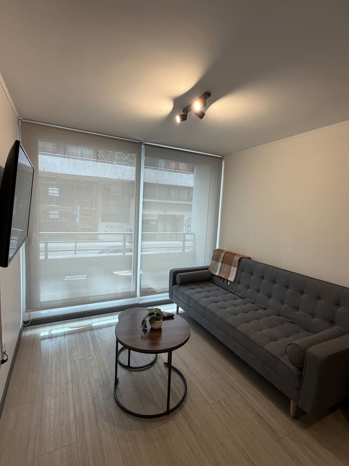 Departamento Santiago, Condor210 - Santiago (Chile)