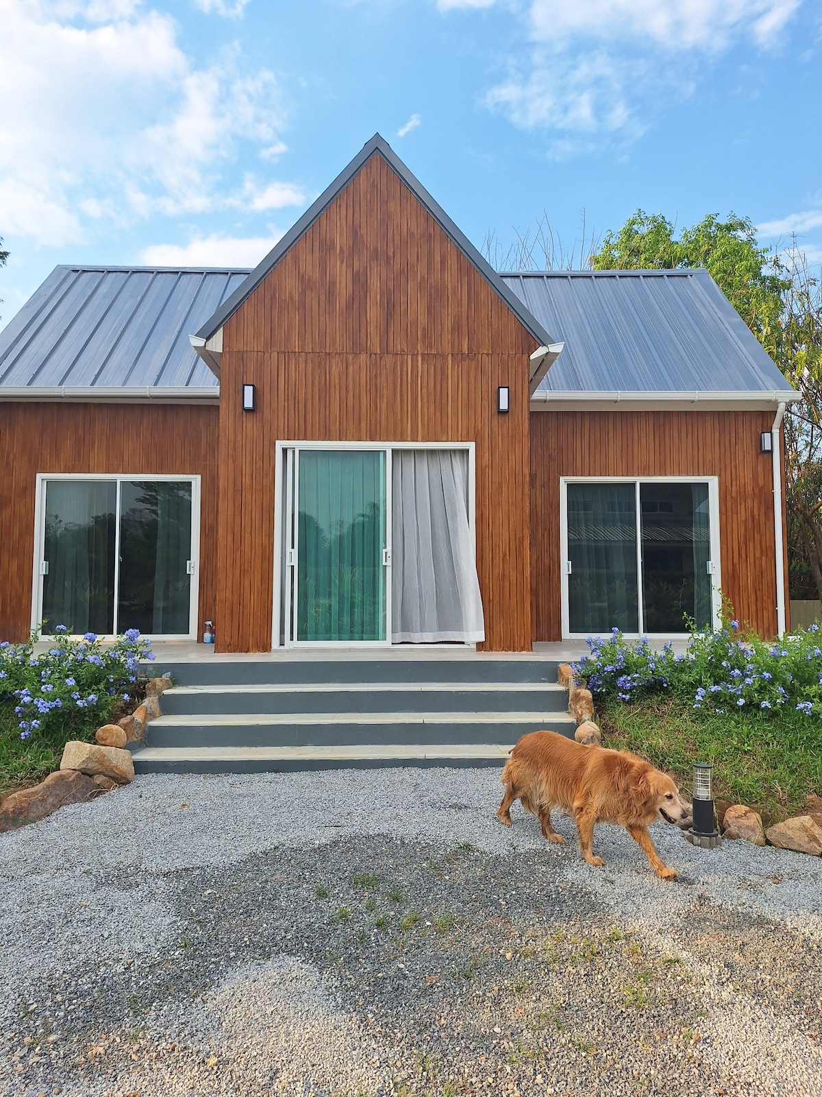The guesthouse showcases a modern, wooden exterior with a peaked roof. Large sliding glass doors and windows allow natural light to fill the space. A friendly dog is seen walking along the pebble pathway, framed by vibrant green plants and flowers.