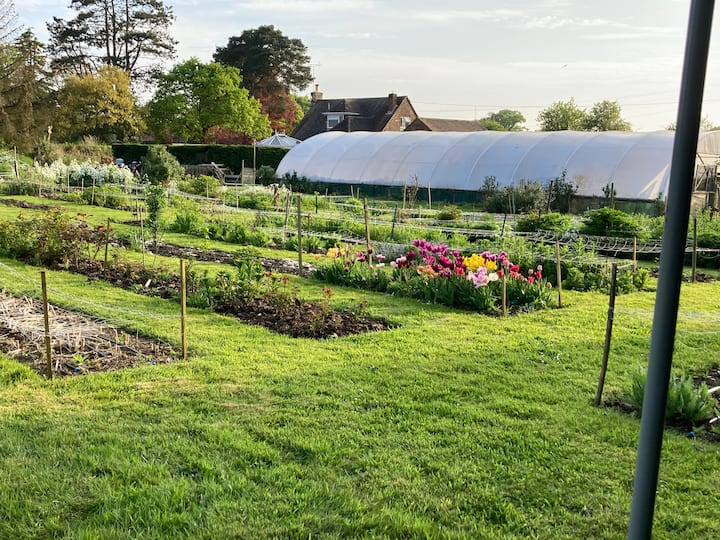 Private Camping Pitch - Wiltshire