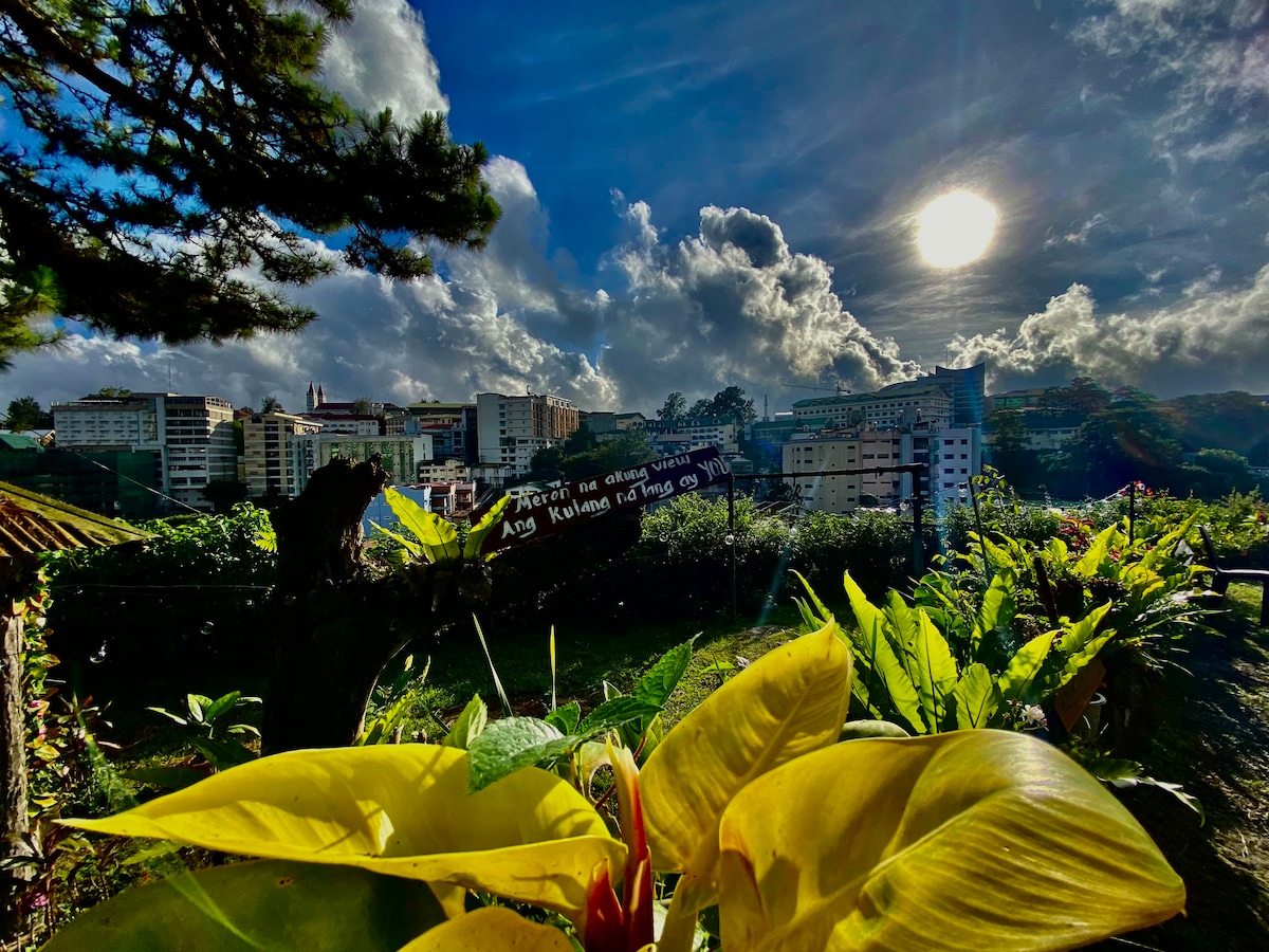 A lush garden is displayed in the foreground, featuring broad yellow leaves. In the background, a view of buildings is framed by scenic clouds and a bright sun at midday, highlighting the peaceful surroundings.