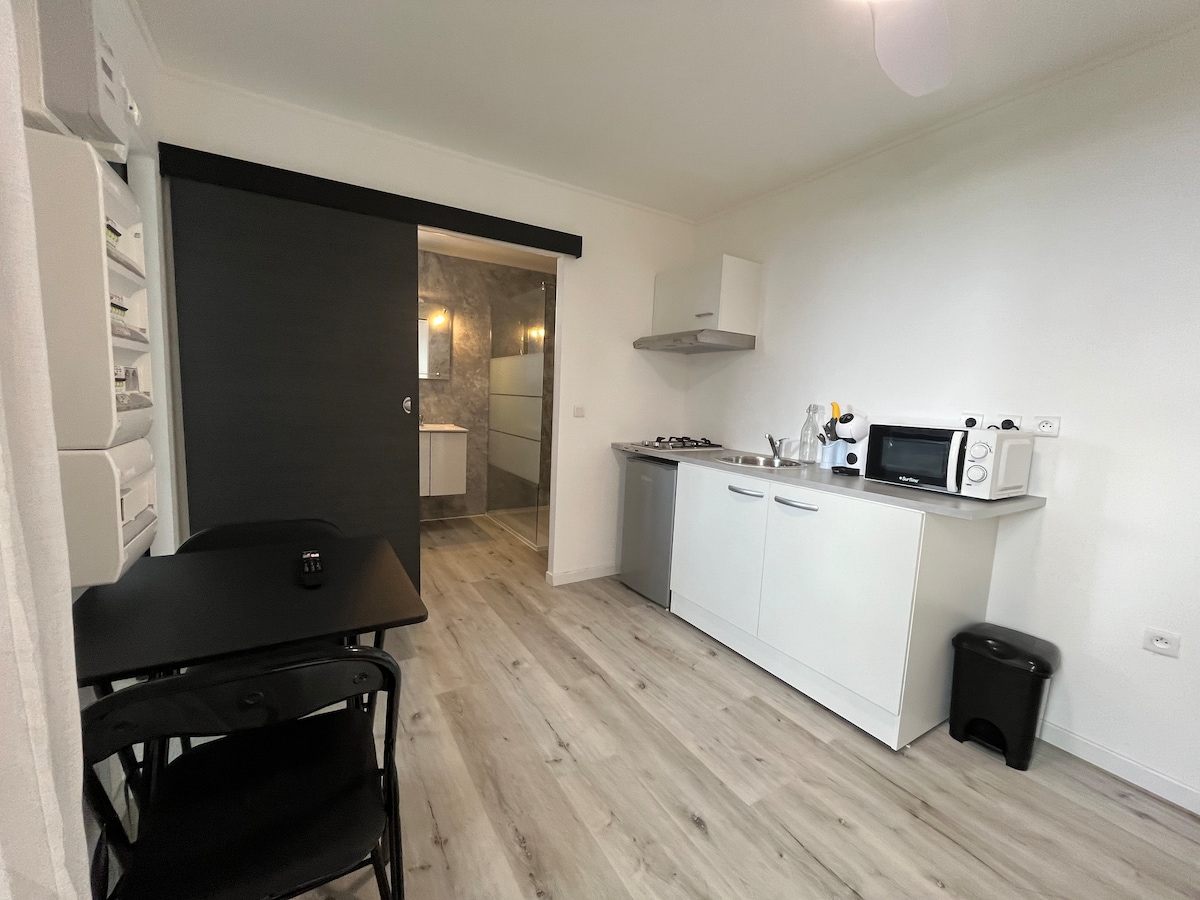 The kitchen area features modern cabinetry in white, equipped with a stove, microwave, and a small dining table with two chairs. A sliding door leads to a bathroom, while light-colored flooring enhances the spacious feel of the room.
