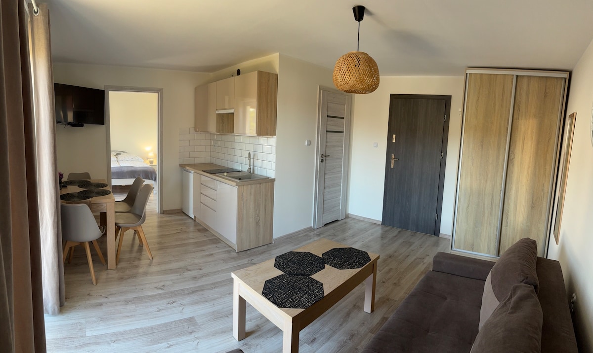 A modern living area is displayed, featuring a brown sofa and a wooden coffee table with dark decorative accents. A dining table for four is set adjacent to a compact kitchen, while soft natural light fills the space through large windows draped with light curtains.
