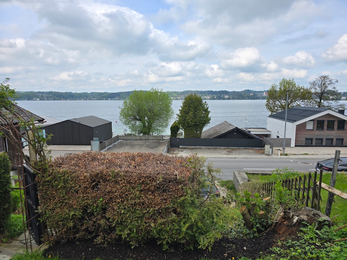 A serene view of the lake is showcased, with multiple trees lining the water's edge. In the foreground, a neatly trimmed shrubbery offers a natural frame. Various buildings are visible on the opposite shore, contributing to the tranquil lakeside ambiance.