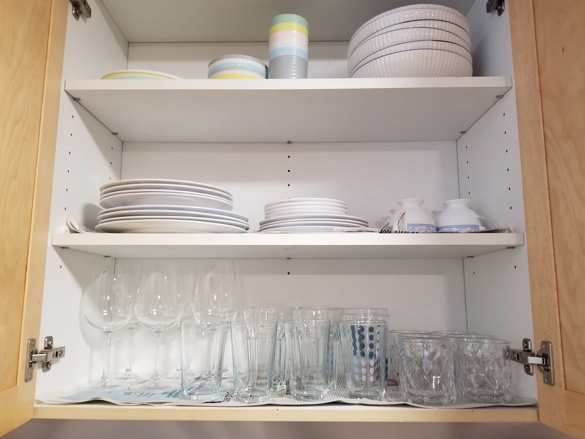 A well-organized kitchen cabinet displays a variety of dinnerware and glassware. The upper shelf showcases plates and bowls in soft colors, while the lower shelf contains an array of glassware, including wine glasses, tumblers, and dessert dishes, neatly arranged for easy access.
