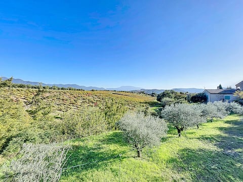 Villa / Olive Vines and Mont-Ventoux