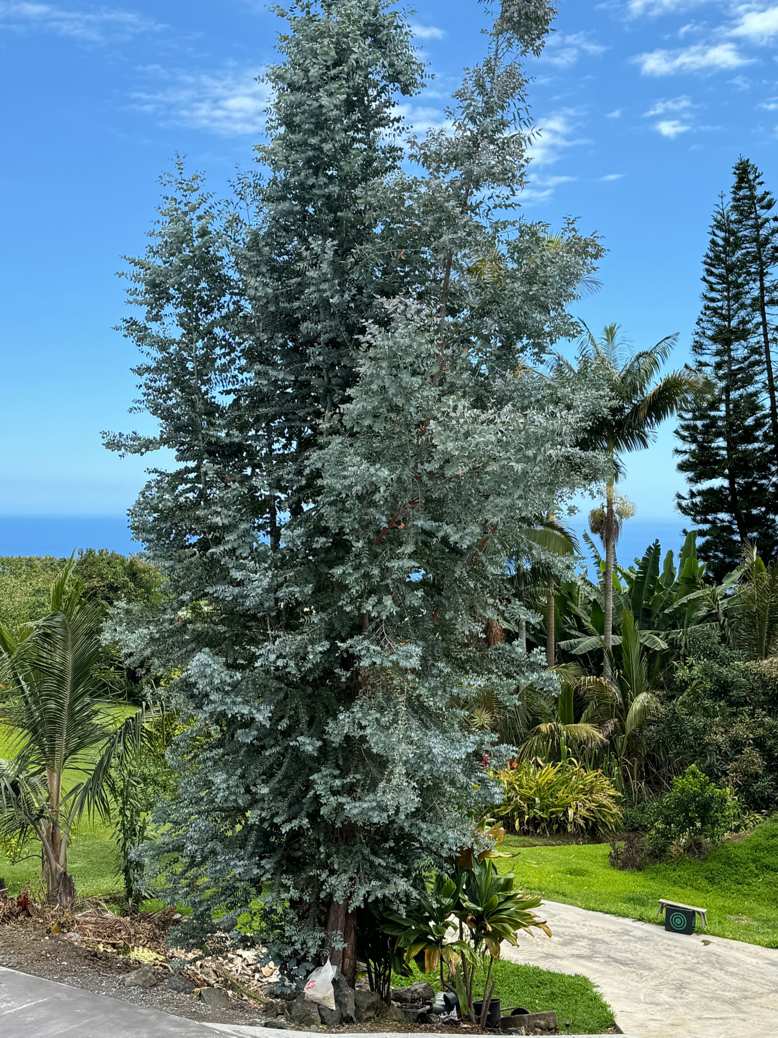 Home in Kealakekua · ★5.0 · 2 bedrooms · 2 beds · 2 baths - Photo 32