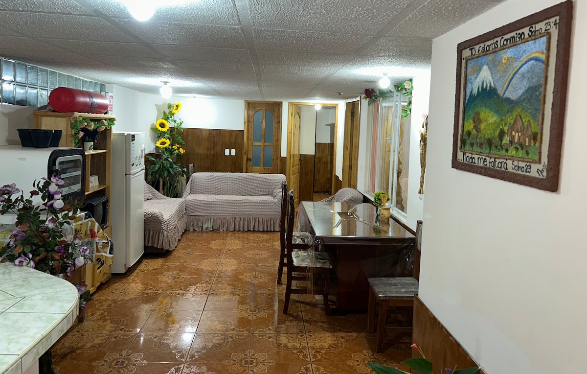 A cozy living space is showcased with a dining table for four and a comfortable sofa. Decorative plants and sunflowers are present, adding a touch of nature. A kitchen area is visible, equipped with essential appliances. Light fixtures illuminate the room, highlighting the warm color tones of the decor.