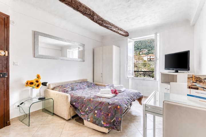 Lovely Studio In Mountain Village - Breil-sur-Roya