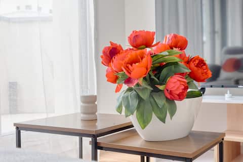 Popular Airbnb listing: Prestige Apartment – 5 people in Saint Ouen Sur Seine