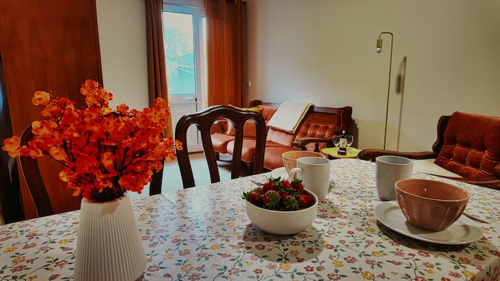 Rustic Mountain 2-bed Apt - Madeira