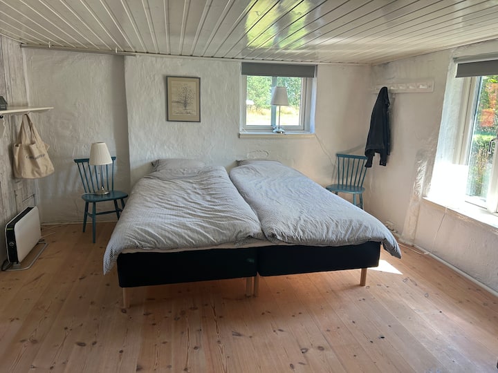 Habitación en planta baja con cama matrimonial 