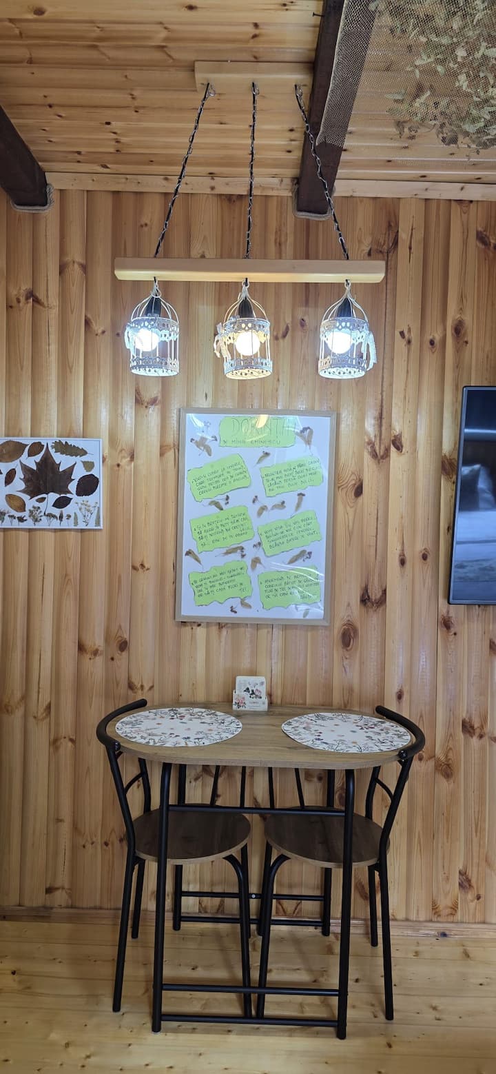 Studio Dorința - Hunedoara