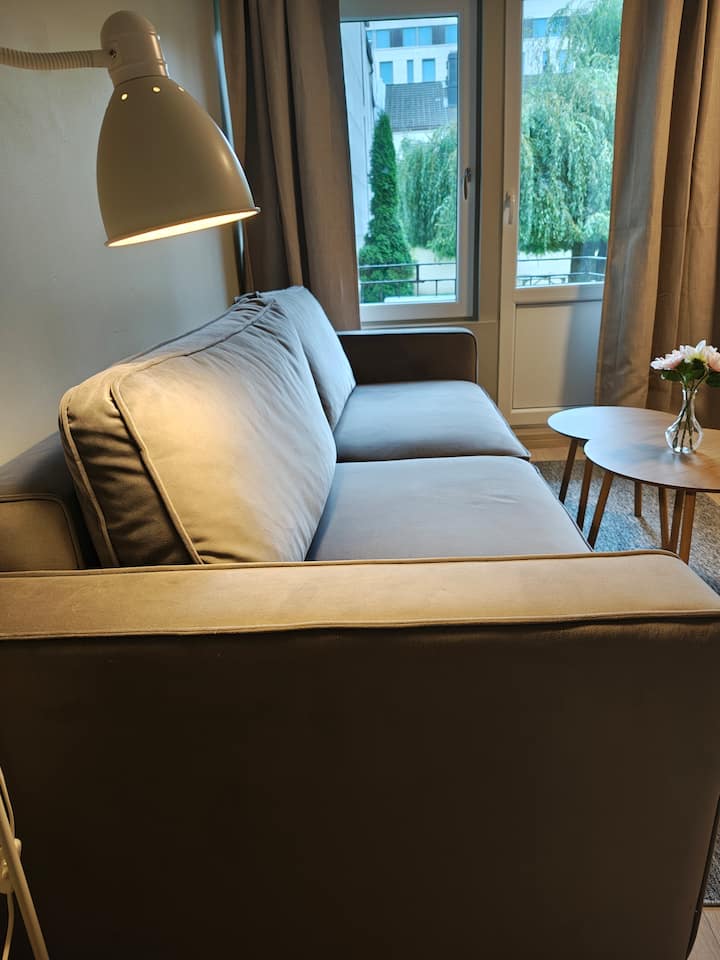 Pohovka je pohodlná na sedenie a dá sa zmeniť aj na rozkladaciu pohovku s rozmermi 140 cm x 200 cm. 